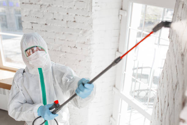 Mold Removal for HVAC Installations in Englishtown, NJ
