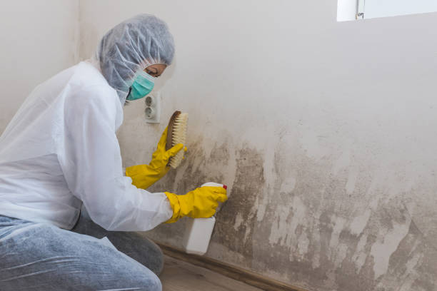 Best Commercial Mold Inspection  in Englishtown, NJ