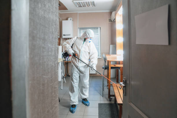 Best Biohazard Mold Removal  in Englishtown, NJ