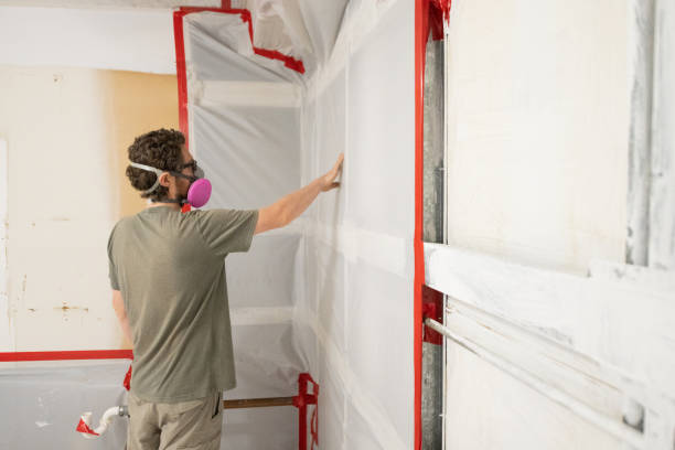Best Crawl Space Mold Remediation  in Englishtown, NJ