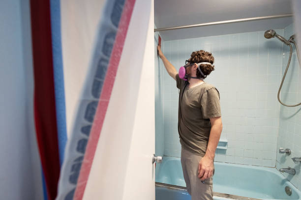 Dehumidification Services in Englishtown, NJ