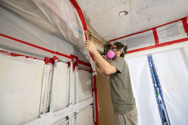 Best Attic Mold Removal  in Englishtown, NJ