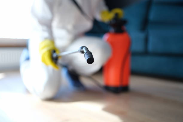 Best Indoor Air Quality Assessment  in Englishtown, NJ