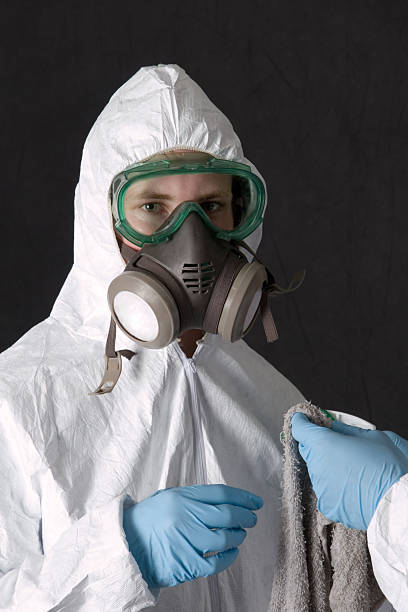 Best Asbestos and Lead Testing During Mold Inspection  in Englishtown, NJ